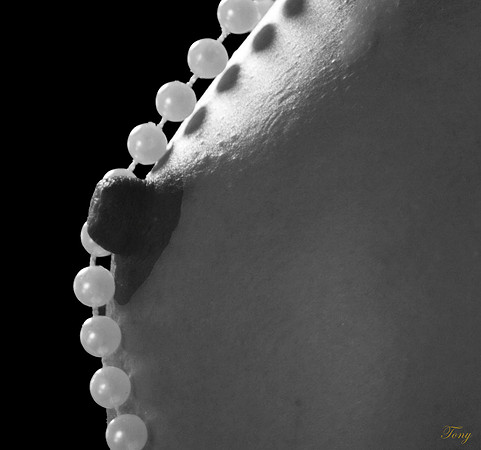 _MG_8997211 (2)
