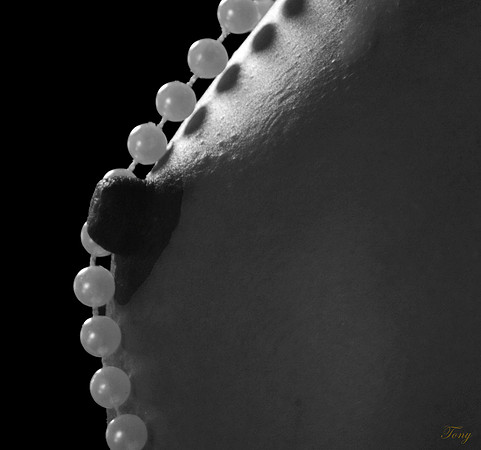 _MG_89972111