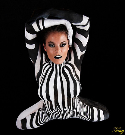 _MG_3493a